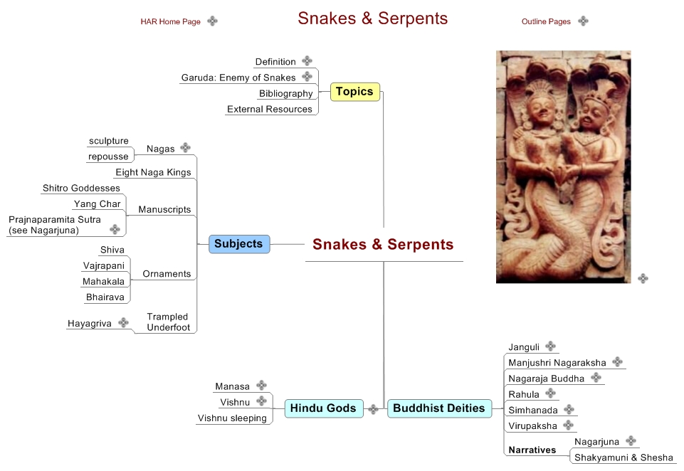 Snakes & Serpents